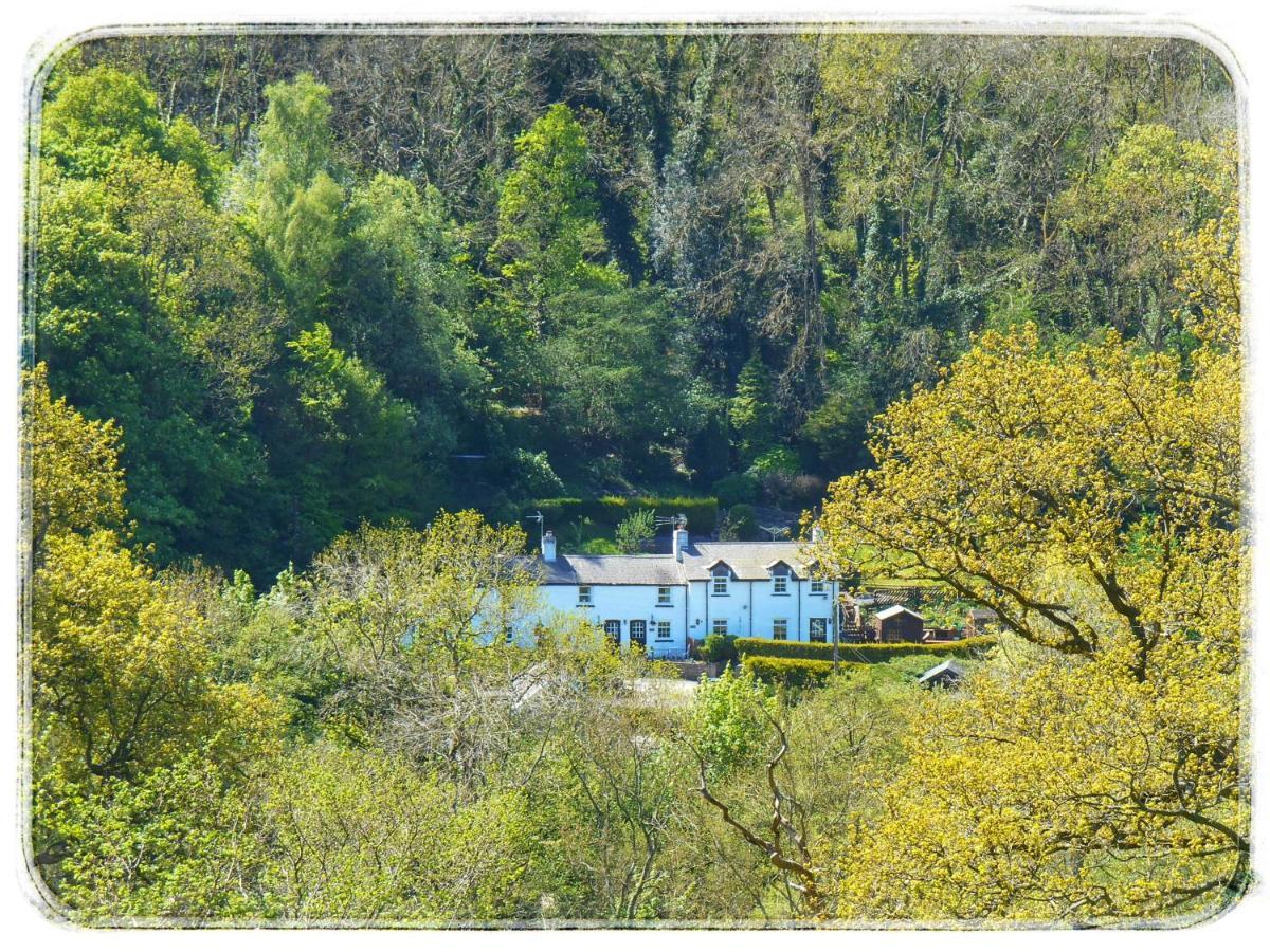 River Cottage St Asaph Bagian luar foto