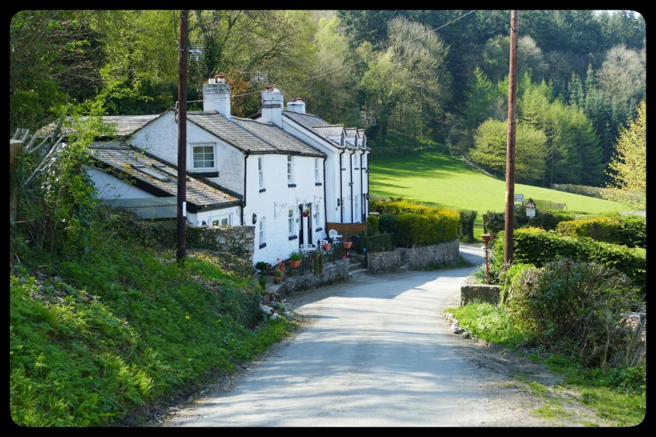 River Cottage St Asaph Bagian luar foto
